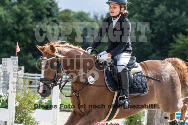 Late-Entry-Vielseitigkeit Langenfeld (06.+07.07.2020)