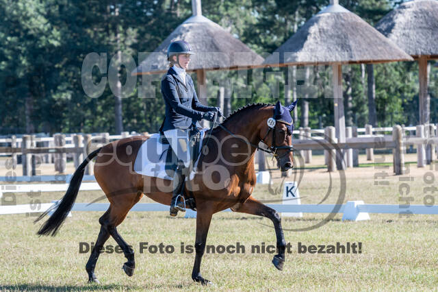 Kronenberg - De Peelbergen (August 2020)