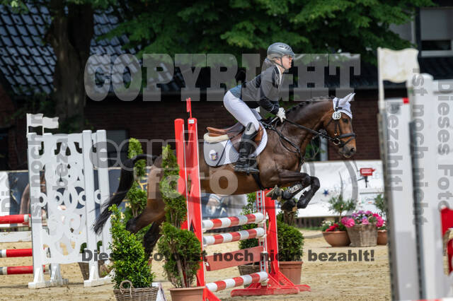 Goldene Schärpe 2021 - Ponys