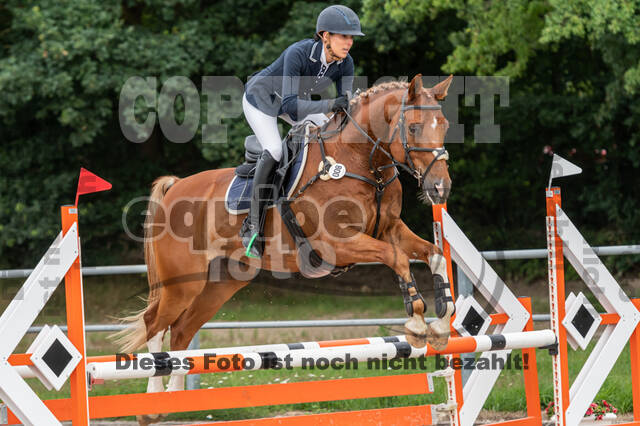 Late-Entry-Vielseitigkeit Langenfeld (06.+07.07.2020)