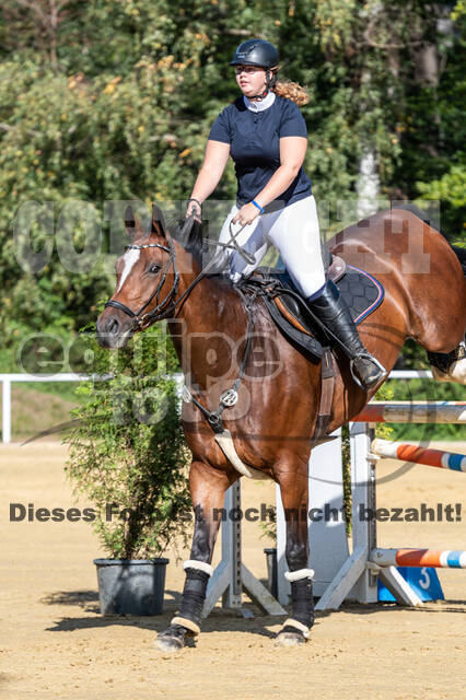 RFV Dinslaken-Hiesfeld (Herbstturnier)
