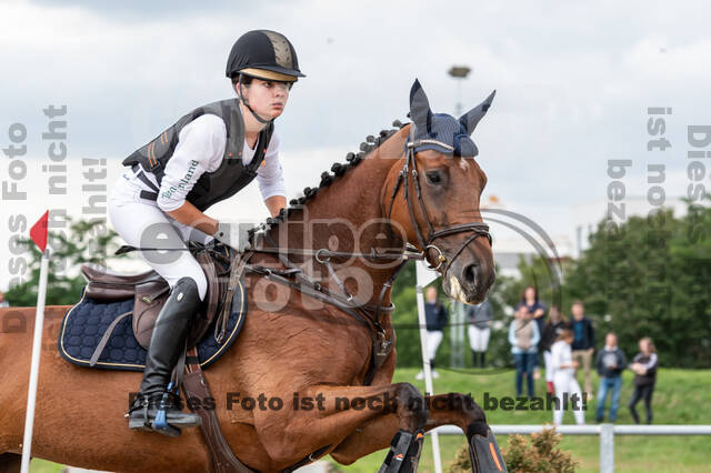 Late-Entry-Vielseitigkeit Langenfeld (06.+07.07.2020)