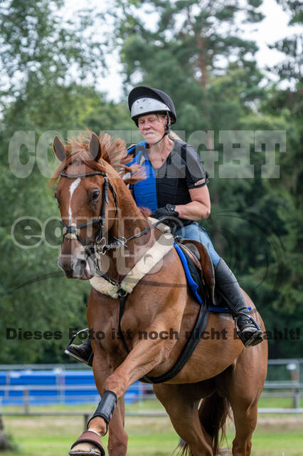 Hunter Geländetraining 10.07.2021 (Sonsbeck)