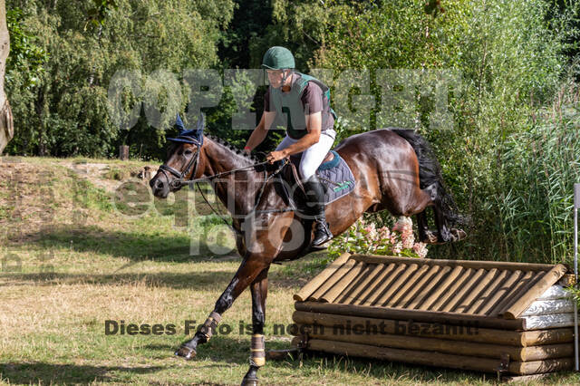 Late-Entry Vielseitigkeit Hamminkeln/Wesel (01.+02.08.2020)