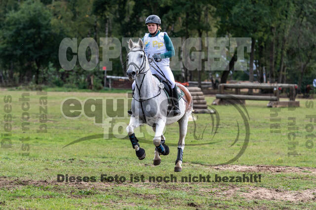 Vielseitigkeit RSV Wesel Obrighoven (26.+27.09.2020)