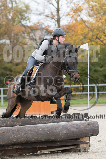 IGV Lehrgang der Sieger der Cups mit Frank Ostholt