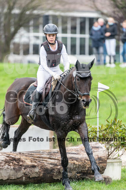 Goldene Schärpe 2020 - Pferde