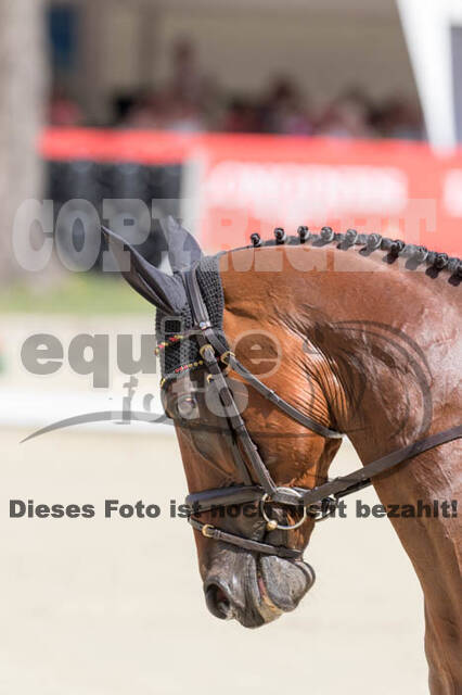 FEI European Championship Eventing 2017