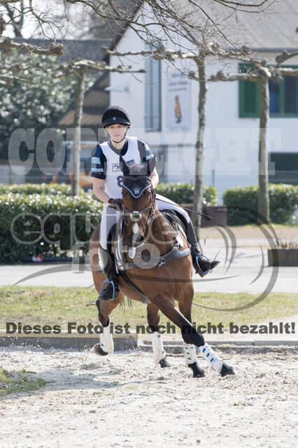 Eventing Langenfeld 2018