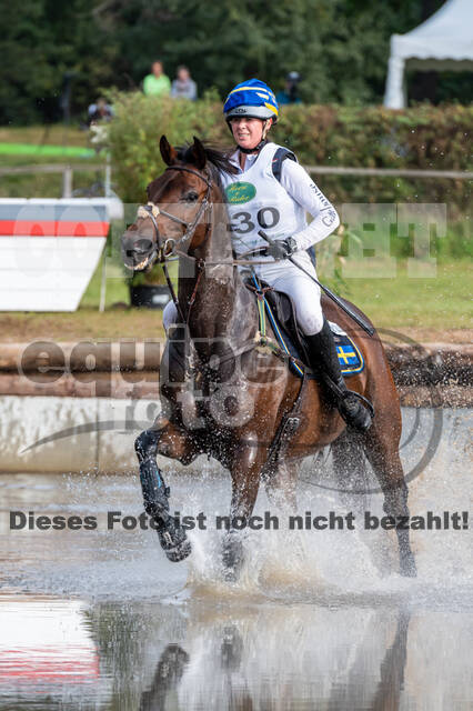 Deutsche Meisterschaft Vielseitigkeit (Luhmühlen)