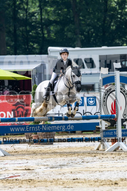 Goldene Schärpe 2021 - Ponys