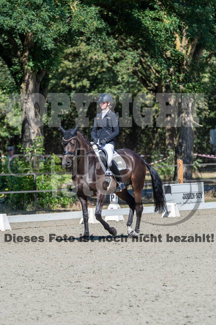 Kronenberg - De Peelbergen (August 2020)