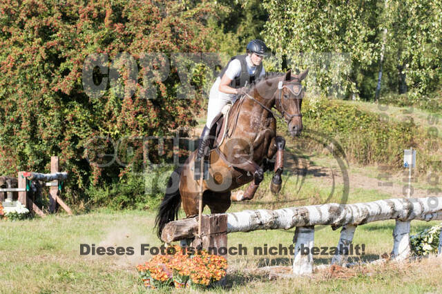 Vielseitigkeitsturnier RSV St. Hubertus Wesel Obrighoven