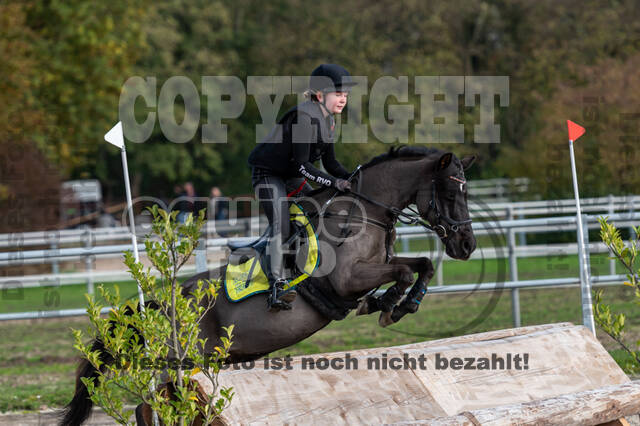 IGV Lehrgang der Sieger der Cups mit Frank Ostholt