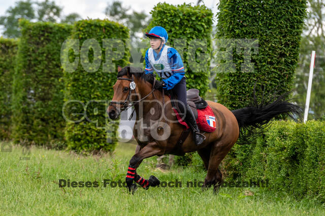 Westerstede Horse Trials 2021