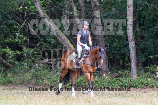 Late-Entry Vielseitigkeit Hamminkeln/Wesel (01.+02.08.2020)