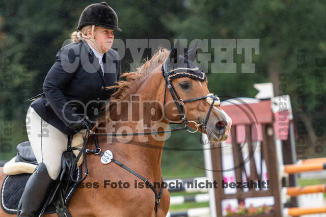 Vielseitigkeit RSV Wesel Obrighoven (26.+27.09.2020)