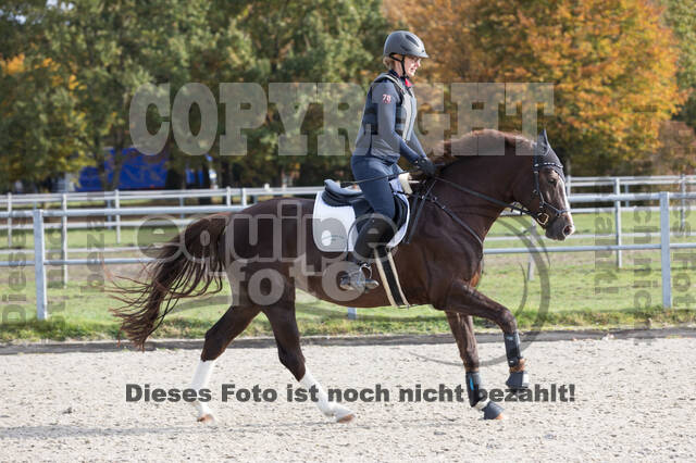 IGV Lehrgang der Sieger der Cups mit Frank Ostholt