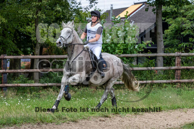 Late-Entry-Vielseitigkeit Gahlen (18.07.2020)