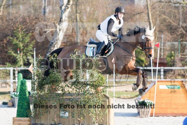 Eventing Langenfeld 2018