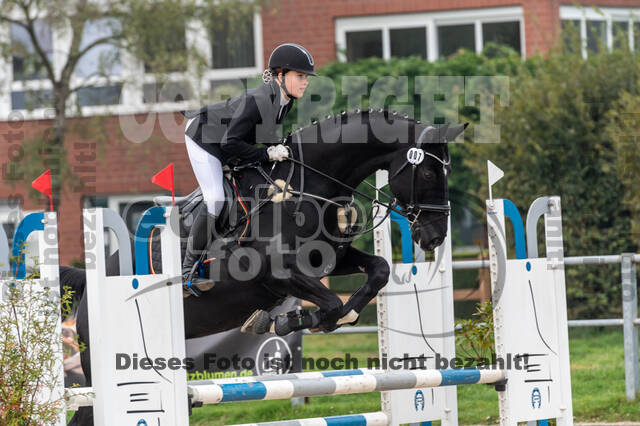 Goldene Schärpe 2020 - Pferde