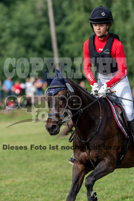 Goldene Schärpe 2021 - Ponys