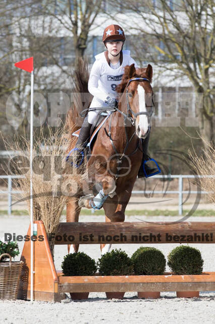 Eventing Langenfeld 2018