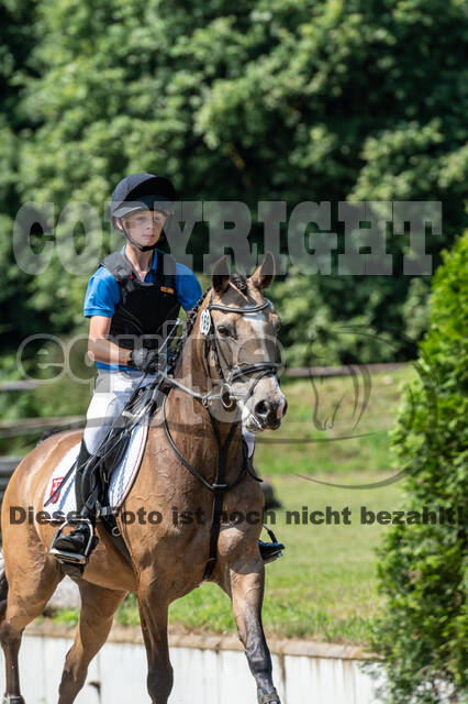 Goldene Schärpe 2021 - Ponys