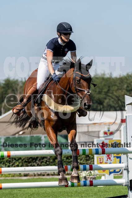 Kronenberg - De Peelbergen (August 2020)