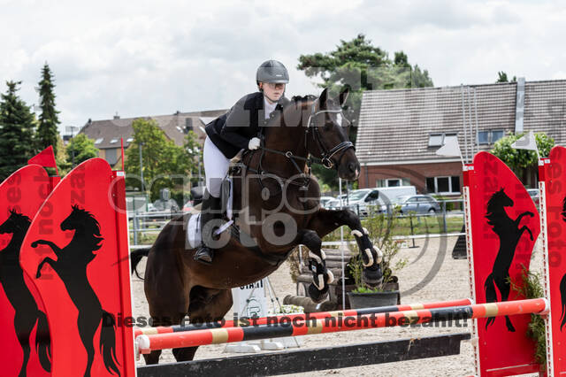 Late-Entry-Vielseitigkeit Langenfeld (06.+07.07.2020)