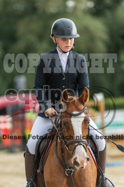 Goldene Schärpe 2021 - Ponys