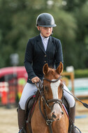 Goldene Schärpe 2021 - Ponys
