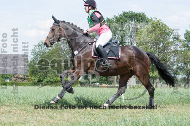 Vielseitigkeitsturnier ZRuFV von Lützow Hamminkeln