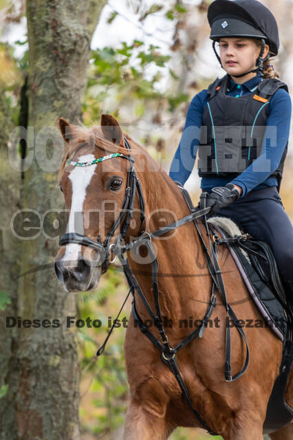 IGV Lehrgang der Sieger der Cups mit Frank Ostholt