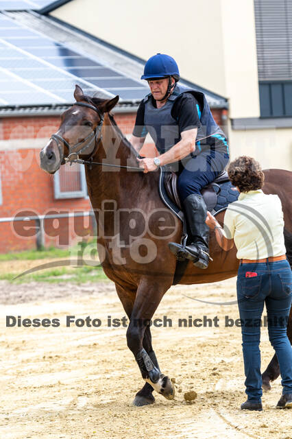 Hunter Geländetraining 10.07.2021 (Sonsbeck)