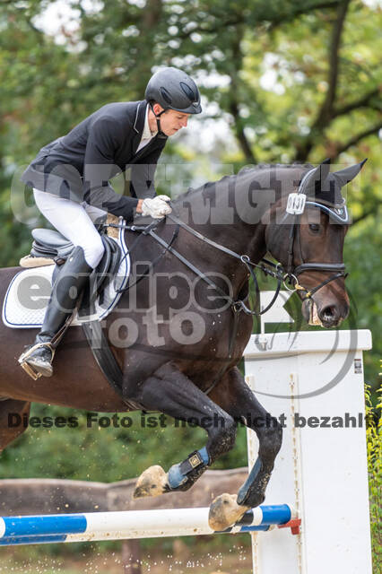 Vielseitigkeit RSV Wesel Obrighoven (26.+27.09.2020)