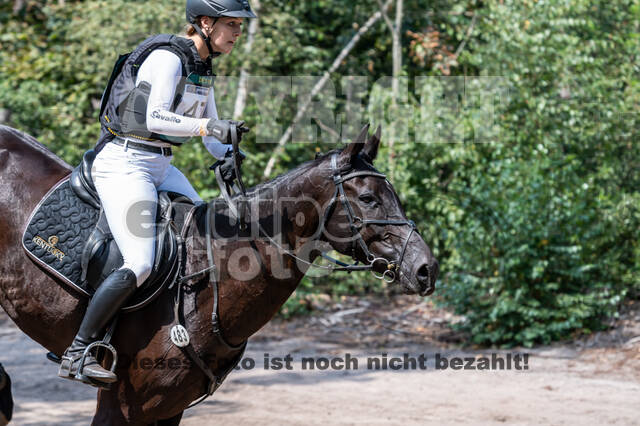 De Peelbergen (August 2020)