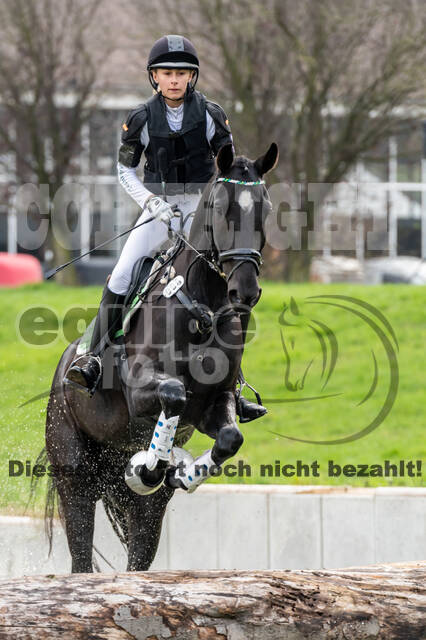 Goldene Schärpe 2020 - Pferde