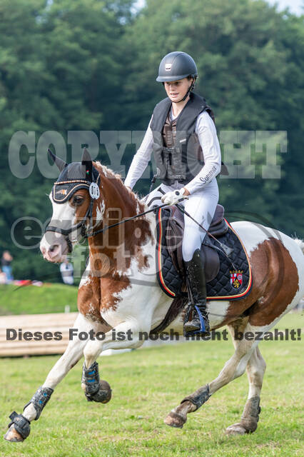 Goldene Schärpe 2021 - Ponys