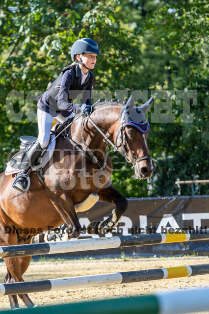 RFV Dinslaken-Hiesfeld (Herbstturnier)
