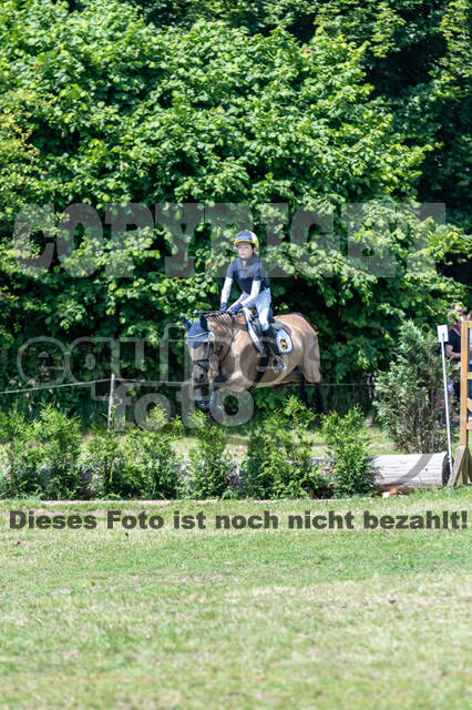 Goldene Schärpe 2021 - Ponys