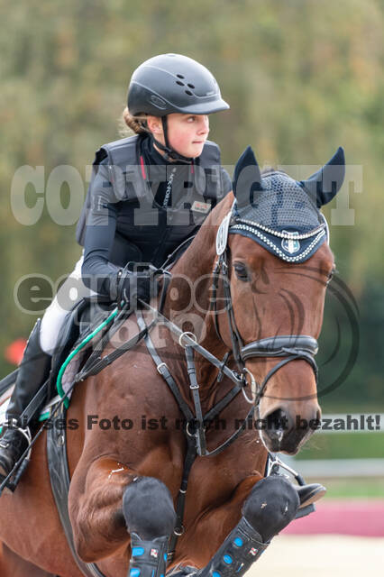 Goldene Schärpe 2020 - Pferde