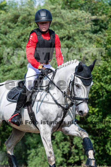 Goldene Schärpe 2021 - Ponys