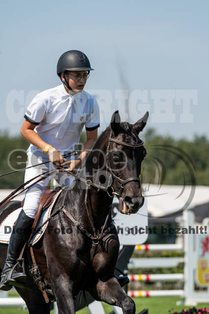 Kronenberg - De Peelbergen (August 2020)