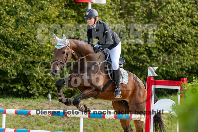 RFV Dinslaken-Hiesfeld (Herbstturnier)