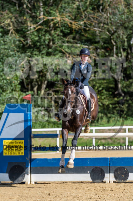 RFV Dinslaken-Hiesfeld (Herbstturnier)