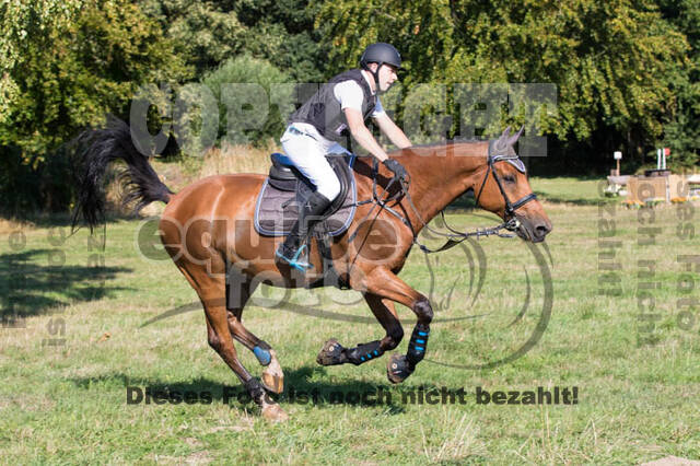 Vielseitigkeitsturnier RSV St. Hubertus Wesel Obrighoven