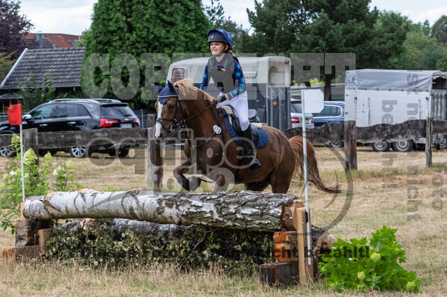 Late-Entry Vielseitigkeit Hamminkeln/Wesel (01.+02.08.2020)