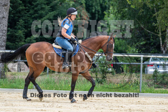 Hunter Geländetraining 10.07.2021 (Sonsbeck)