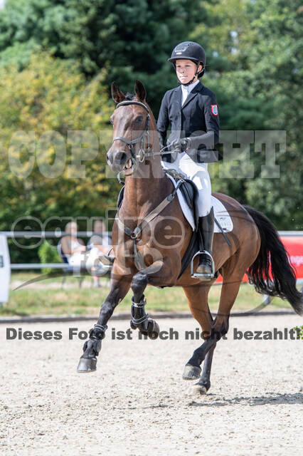 Landesturnier Rheinland, Vielseitigkeit, 22.+23.08.2020